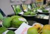Bangladesh Embassy organizes mango festival in Kathmandu