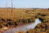 Opinion: How journalism helped break Iowa’s farm pollution acquiescence