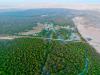 Qatar's mangrove forests span 14 sqkm as ministry strengthens conservation drive