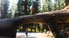 National Park Service Dress Code Warnings Become More Pertinent Following Tourist Death Near The World's Oldest Living Tree