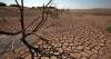 Africa's growth outlook faces fresh climate threat as AfDB warns powerful El Niño could wipe out $20bn, shrink GDP and trigger migration