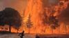 Video: Europe is ravaged by fierce wildfires. How is weather fuelling the blaze?