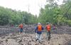 In the Face of the Climate Crisis Panama’s Mangroves are Positioning Themselves as Pillars of Blue Carbon