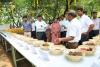 Agri Dept to Conduct Seed Melas From Today