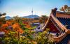 KORU: Why Bearish South Korea Is The Play Into The Fall
