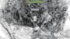 Voices from the Arab press: Iranian calamities, Netanyahu's rule, and state legitimacy