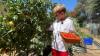 9-year-old trades screen time for gardening, builds successful business