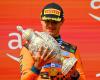 Lando Norris wins F1 Hungarian GP for first victory of season as Piastri retires