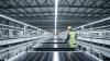 SEG Solar plans third Houston factory as U.S. module capacity targets 10.6 gigawatts