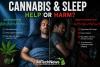 Does Marijuana Really Help You Sleep? Scientists Say The Answer Isn’t So Simple For Michigan Cannabis Consumers