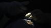 South Africa needs a coordinated national plan for cataract-surgery training