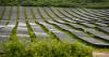 New GPA solar projects near $2.5B