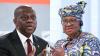 Cardoso, Okonjo-Iweala To Lead Talks On Africa’s Move To Tackle Global Economic Risks