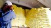 More than 3m registered for civil defense program
