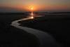 UNESCO adds France’s D-Day beaches, Greece’s Mount Olympus. U.S. Okefenokee Swamp to World Heritage List