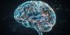 Brain “noise” during speech processing is linked to verbal communication skills in autistic youth