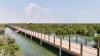 Qatar’s mangrove forests span 14 sq kmas MECC strengthens conservation drive
