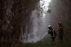 Wildfires continue to ravage France