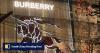 Burberry sales jump: are luxury goods back in fashion in China amid tech wealth?