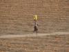 Africa facing major $20bn economic hit as ‘super’ El Nino triggers migration