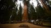 Nevada man dies at famed Sequoia National Park trail after sudden emergency
