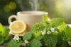 Lemon Balm: Potential Health Benefits and Usage, According to Research