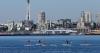 Multiple people shot as gunfire erupts near Seattle’s iconic Space Needle, police say