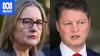Deputy premier confirms he will run for Victorian Labor leadership