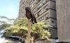 Environment Ministry Seizes Protected Wildlife From Cairo Market
