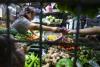 AMRO sees Philippines posting third fastest inflation in ASEAN+3 this year