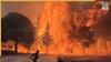 Europe engulfed in massive wildfires: Why is the continent witnessing one of its worst fire crises and how is extreme weather making it worse?