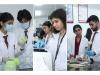 Business News | Chandigarh University's 272 Allied Health Sciences Students Secure Jobs in Prestigious Govt & Private Hospitals in Past 3 Years