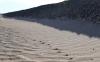 Land Degradation Is Pushing Mongol Herders Into Environmental Refugee Status