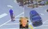 Beloved grandma is run over and killed by illegal immigrant while walking back to her car after grocery shopping, cops say