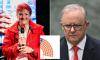 One Nation would be 'within arm's reach' of forming government with the Coalition after bombshell new poll reveals Pauline Hanson's extraordinary surge