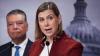 Democrats reject any appeal to popular opposition to subversion of midterm elections