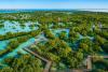 Tiffany & Co. plants 1837 mangroves in Abu Dhabi to mark World Mangrove Day