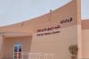 Dubai launches integrated pet shelter and adoption platform