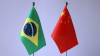 President Xi Jinping holds phone talks with Brazilian President Lula