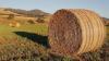 Kazakhstan prepares 15.9 million tons of fodder ahead of winter season