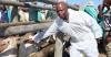 FMD fight: Court orders repatriation of SA-imported cattle