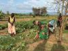 Battling drought: How Kenyan communities are restoring degraded land