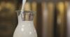 EU market closed to Kosovo dairy