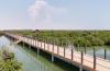 Qatar's Mangrove forests cover 14 Sq. Km., with more than half in Al Thakira Reserve, MECC Says