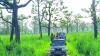 Chitwan’s tourism rises despite monsoon