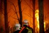 Europe wildfires latest: Firefighters warn blaze near Bordeaux could last months after airport evacuates hotel zone