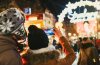 EasyJet to add ‘Capital of Christmas’ to Bristol Airport’s winter departure schedule