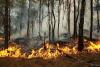 How to prevent wildfires in Switzerland and Europe