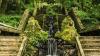 There are only four certified 'therapeutic forests' in the world: One is now in Portugal