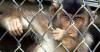 How federal agents in New Orleans are unraveling a global monkey-torture ring